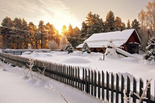 Hus i snölandskap. Solnedgång bakom träd. Kallt och kyligt.
